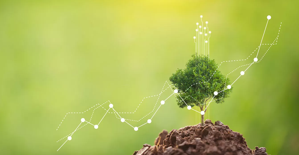 Products designed to last: repairability, reliability, easy maintenance