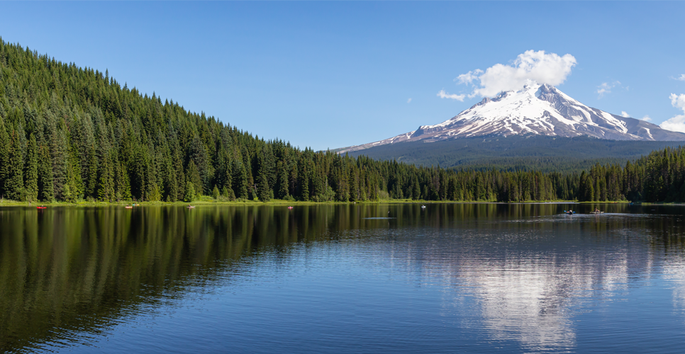 Love nature, protect it, live in it and respect it.